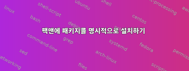 팩맨에 패키지를 명시적으로 설치하기