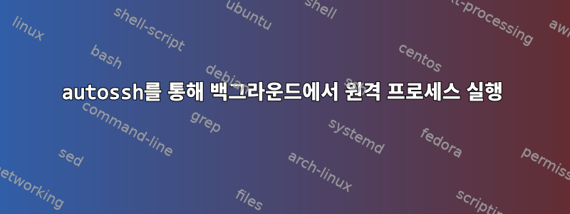 autossh를 통해 백그라운드에서 원격 프로세스 실행