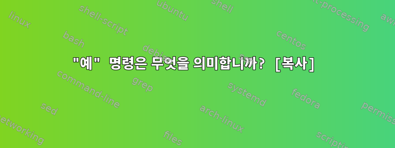 "예" 명령은 무엇을 의미합니까? [복사]