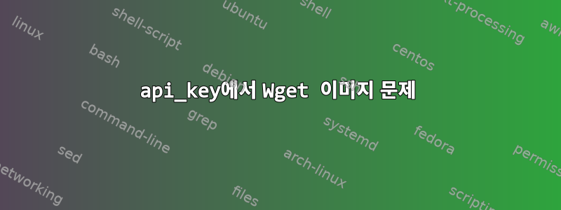 api_key에서 Wget 이미지 문제