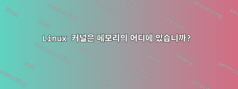 Linux 커널은 메모리의 어디에 있습니까?