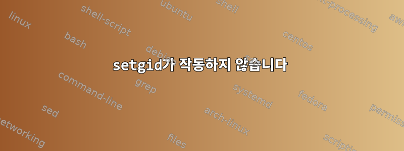 setgid가 작동하지 않습니다