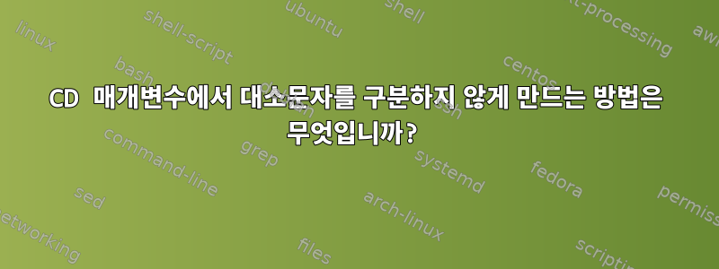 CD 매개변수에서 대소문자를 구분하지 않게 만드는 방법은 무엇입니까?