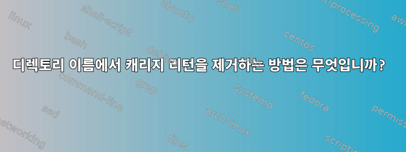 디렉토리 이름에서 캐리지 리턴을 제거하는 방법은 무엇입니까?