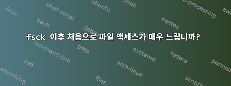 fsck 이후 처음으로 파일 액세스가 매우 느립니까?