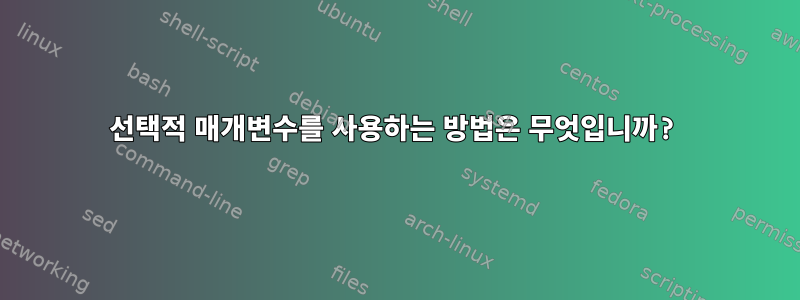 선택적 매개변수를 사용하는 방법은 무엇입니까?