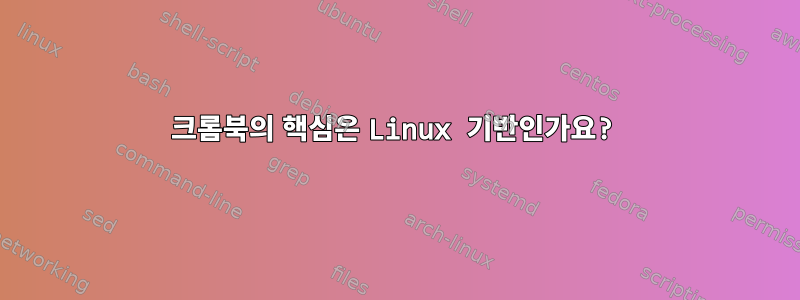 크롬북의 핵심은 Linux 기반인가요?