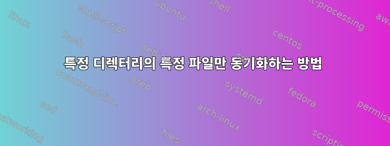 특정 디렉터리의 특정 파일만 동기화하는 방법