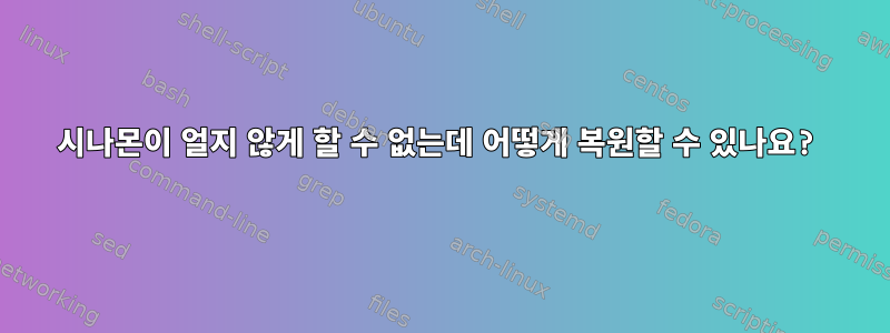 시나몬이 얼지 않게 할 수 없는데 어떻게 복원할 수 있나요?