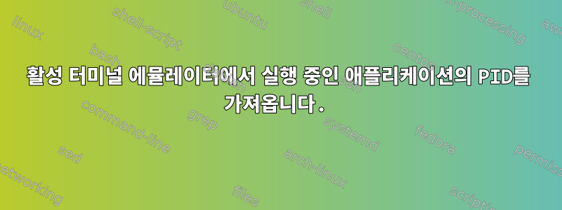 활성 터미널 에뮬레이터에서 실행 중인 애플리케이션의 PID를 가져옵니다.