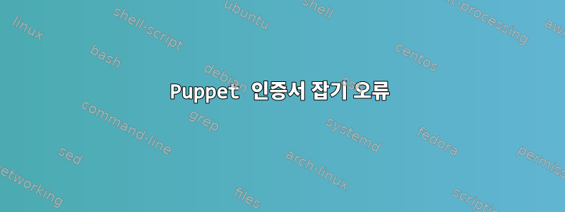 Puppet 인증서 잡기 오류