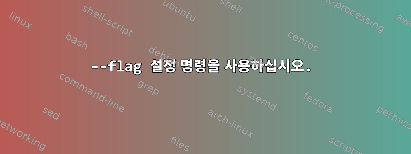 --flag 설정 명령을 사용하십시오.