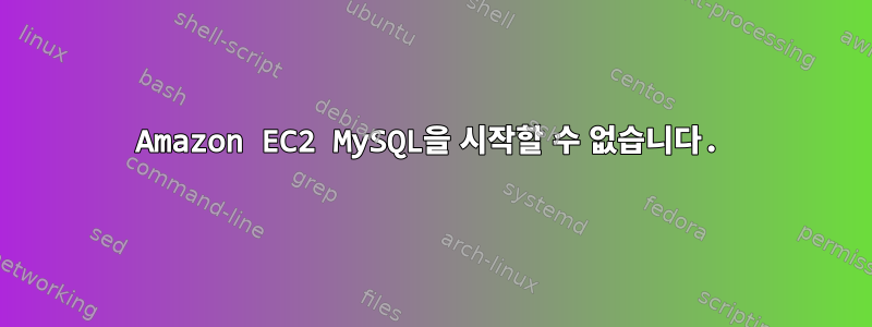 Amazon EC2 MySQL을 시작할 수 없습니다.