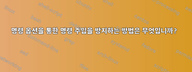 명령 옵션을 통한 명령 주입을 방지하는 방법은 무엇입니까?