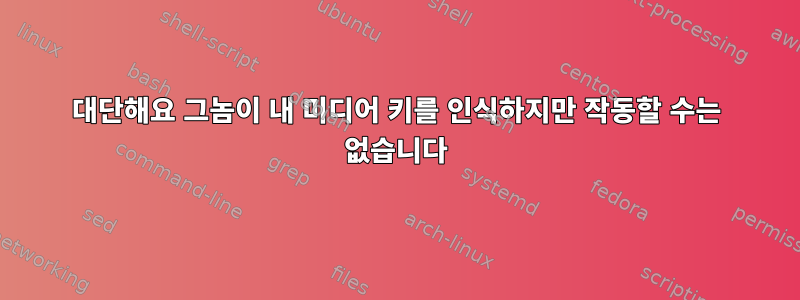 대단해요 그놈이 내 미디어 키를 인식하지만 작동할 수는 없습니다