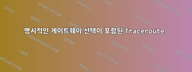 명시적인 게이트웨이 선택이 포함된 Traceroute