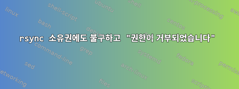 rsync 소유권에도 불구하고 "권한이 거부되었습니다"