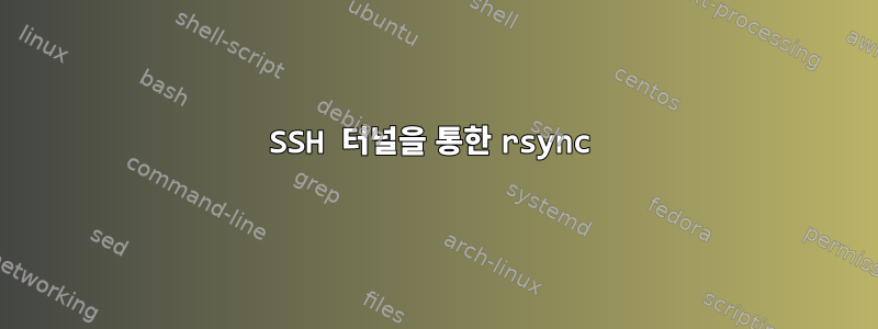 SSH 터널을 통한 rsync