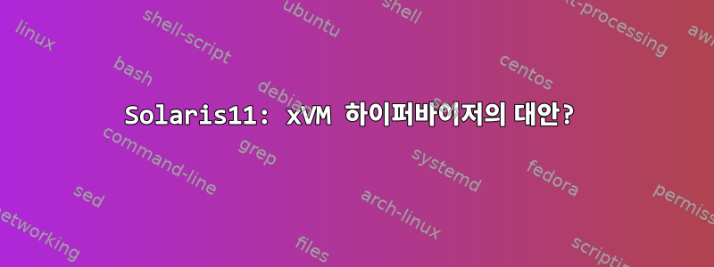 Solaris11: xVM 하이퍼바이저의 대안?