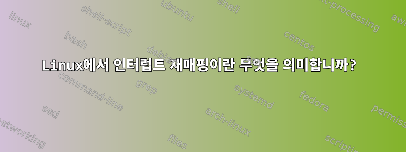 Linux에서 인터럽트 재매핑이란 무엇을 의미합니까?