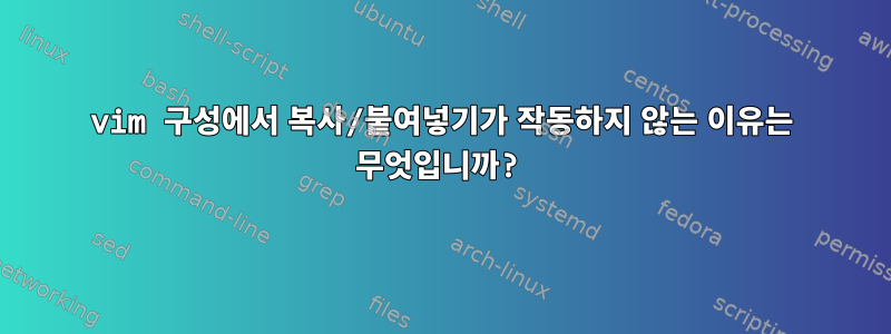 vim 구성에서 복사/붙여넣기가 작동하지 않는 이유는 무엇입니까?