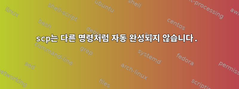 scp는 다른 명령처럼 자동 완성되지 않습니다.