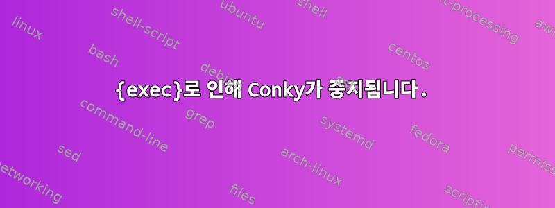 {exec}로 인해 Conky가 중지됩니다.