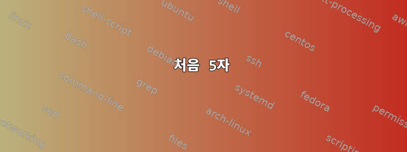 처음 5자