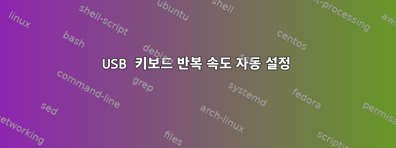 USB 키보드 반복 속도 자동 설정