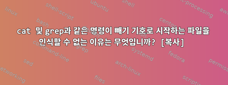 cat 및 grep과 같은 명령이 빼기 기호로 시작하는 파일을 인식할 수 없는 이유는 무엇입니까? [복사]