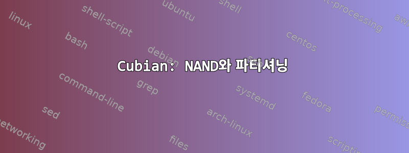 Cubian: NAND와 파티셔닝