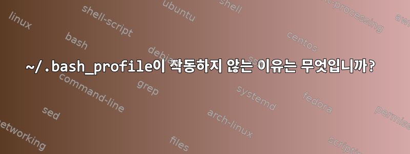 ~/.bash_profile이 작동하지 않는 이유는 무엇입니까?