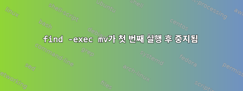 find -exec mv가 첫 번째 실행 후 중지됨