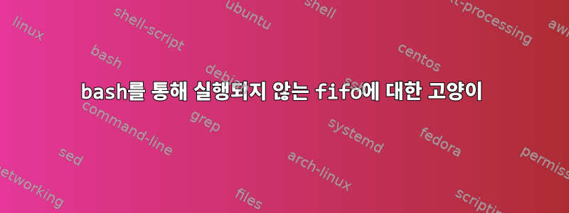 bash를 통해 실행되지 않는 fifo에 대한 고양이