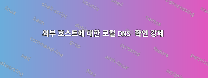 외부 호스트에 대한 로컬 DNS 확인 강제