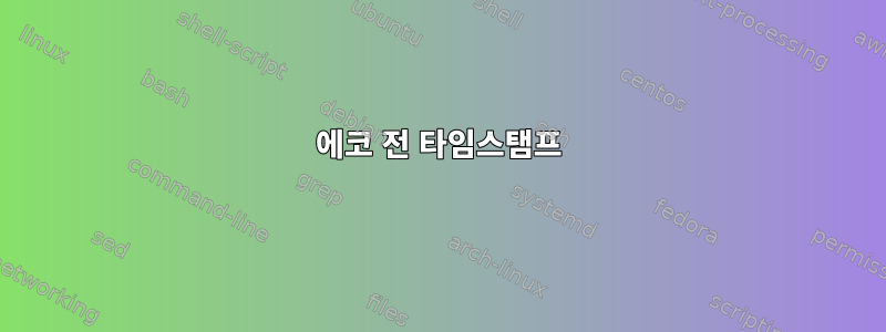 에코 전 타임스탬프