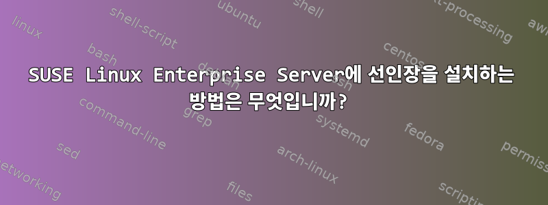 SUSE Linux Enterprise Server에 선인장을 설치하는 방법은 무엇입니까?