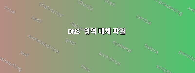 DNS 영역 대체 파일