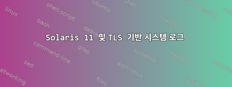 Solaris 11 및 TLS 기반 시스템 로그