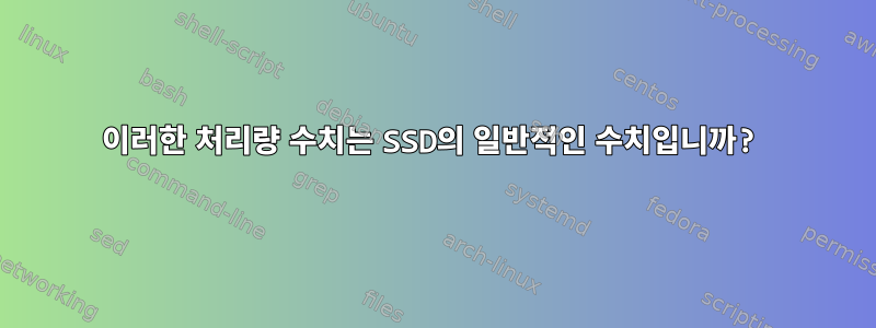 이러한 처리량 수치는 SSD의 일반적인 수치입니까?