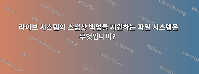 라이브 시스템의 스냅샷 백업을 지원하는 파일 시스템은 무엇입니까?