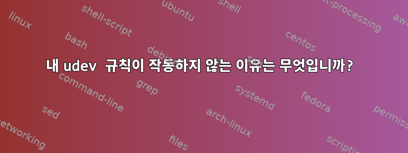 내 udev 규칙이 작동하지 않는 이유는 무엇입니까?