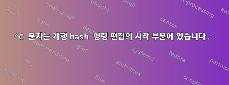 ^C 문자는 개행 bash 명령 편집의 시작 부분에 있습니다.