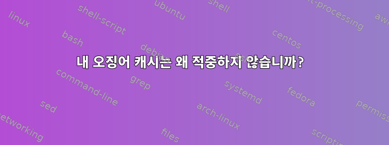 내 오징어 캐시는 왜 적중하지 않습니까?