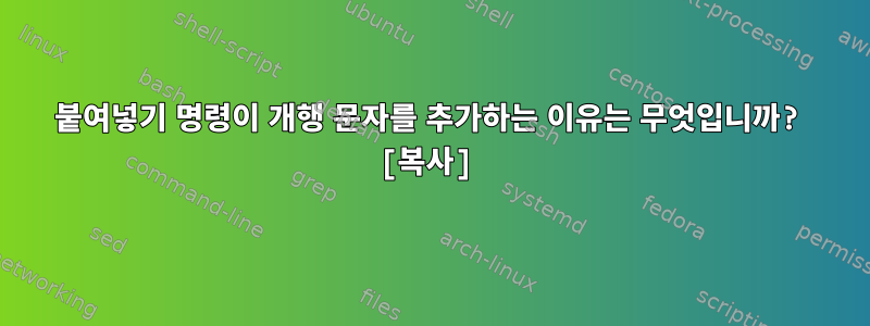 붙여넣기 명령이 개행 문자를 추가하는 이유는 무엇입니까? [복사]