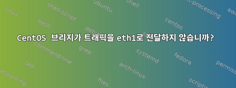 CentOS 브리지가 트래픽을 eth1로 전달하지 않습니까?