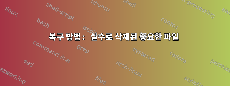 복구 방법: 실수로 삭제된 중요한 파일