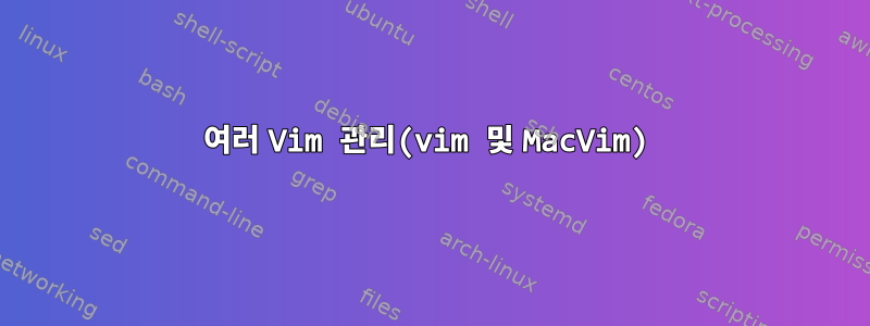 여러 Vim 관리(vim 및 MacVim)