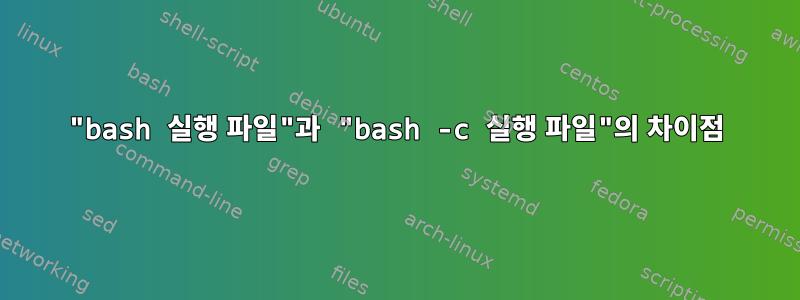 "bash 실행 파일"과 "bash -c 실행 파일"의 차이점