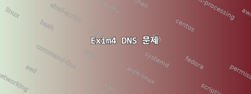 Exim4 DNS 문제